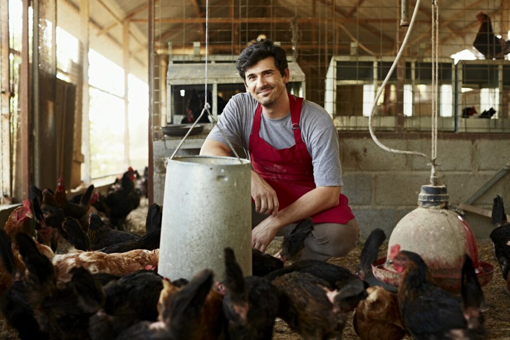 Zrównoważona dezynfekcja kurników – klucz do ochrony środowiska